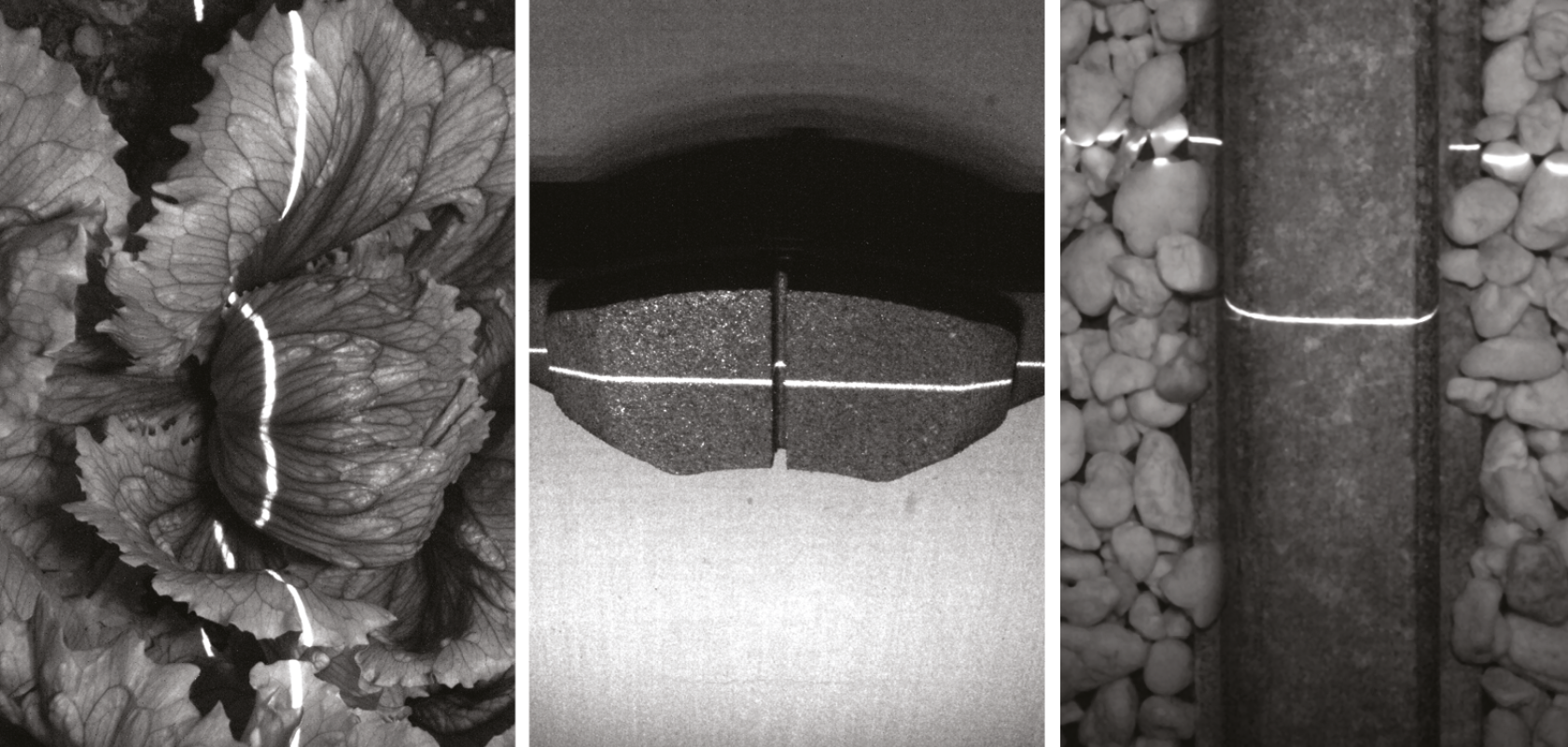 A shortwave infrared image of lettuce, a brake pad and a railroad rail