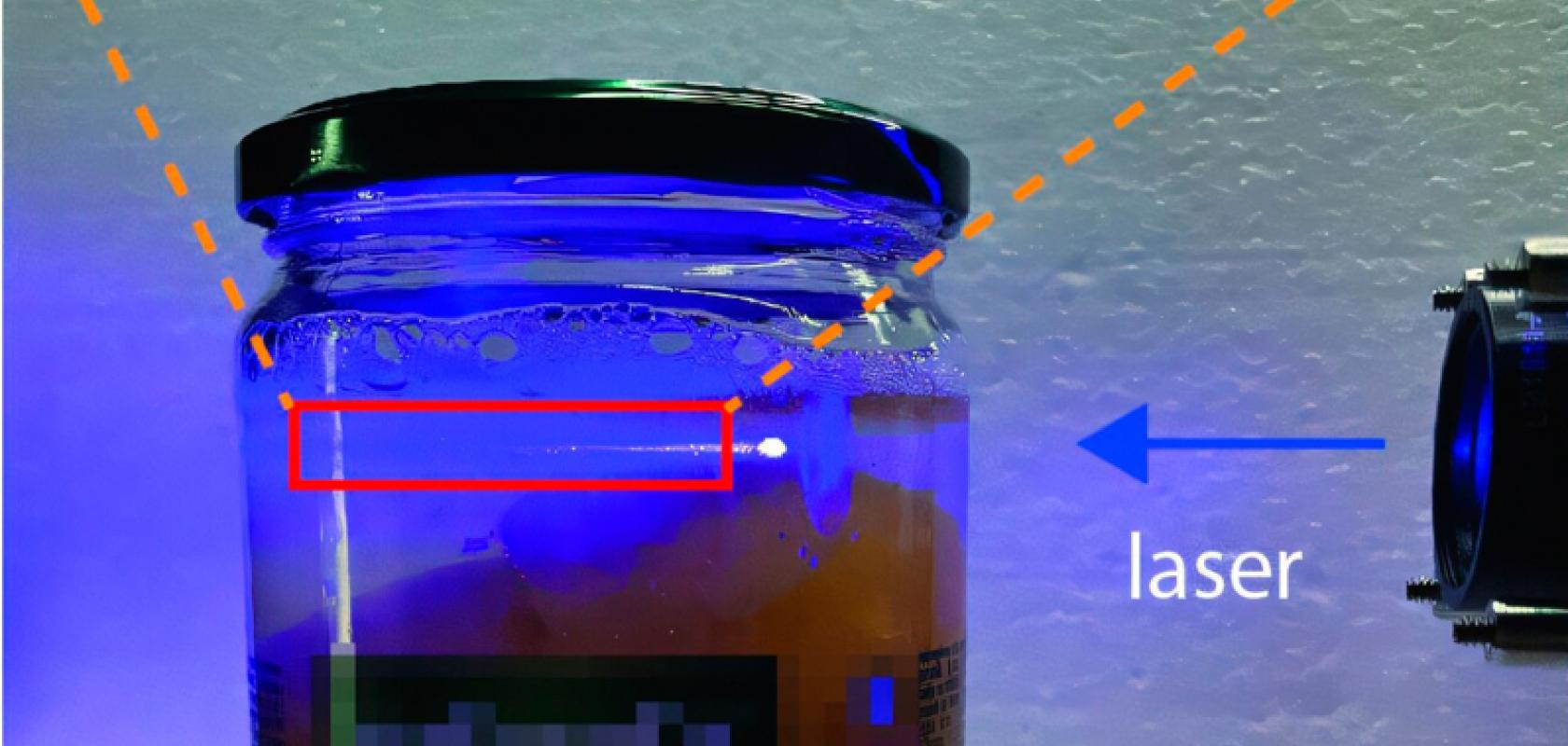 Edible microlasers embedded within peach compote