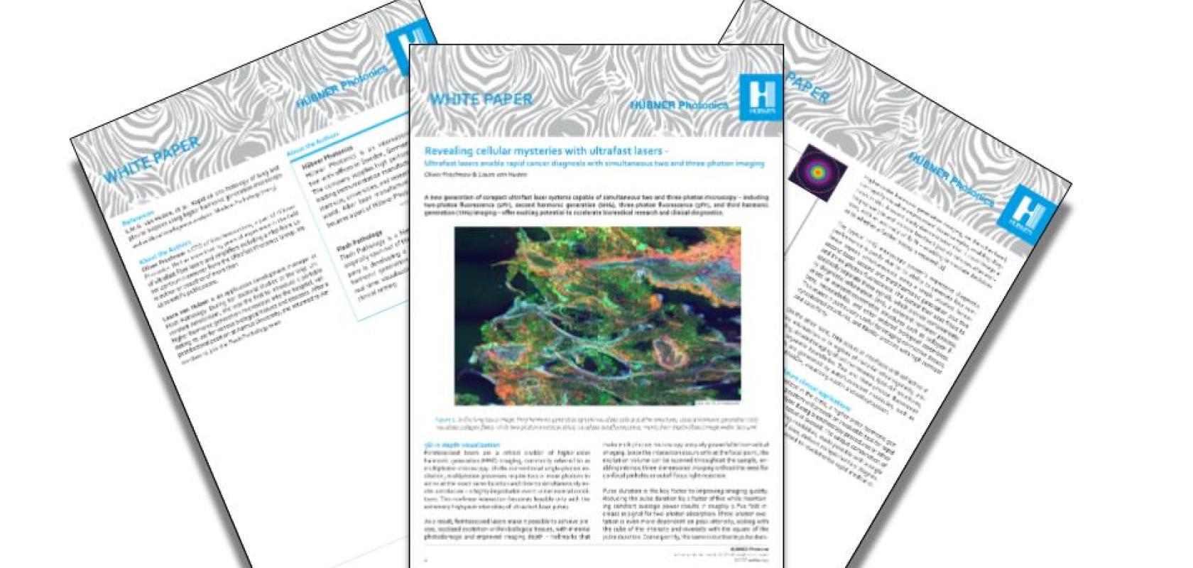 Revealing cellular mysteries with ultrafast lasers Revealing cellular mysteries with ultrafast lasers