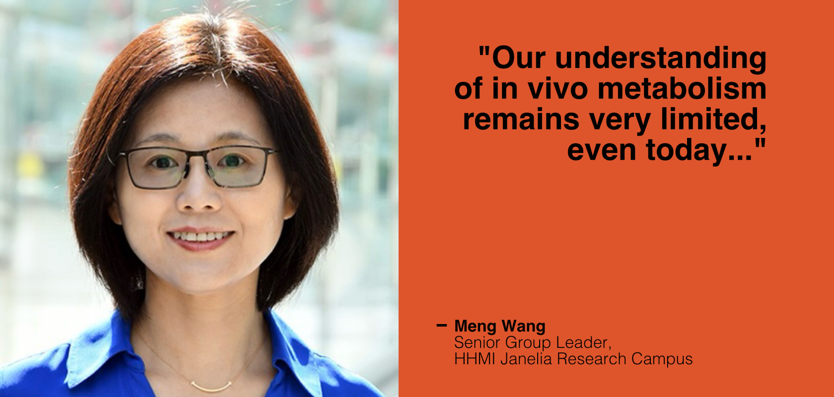 Meng Wang, Senior Group Leader at HHMI Janelia Research Campus