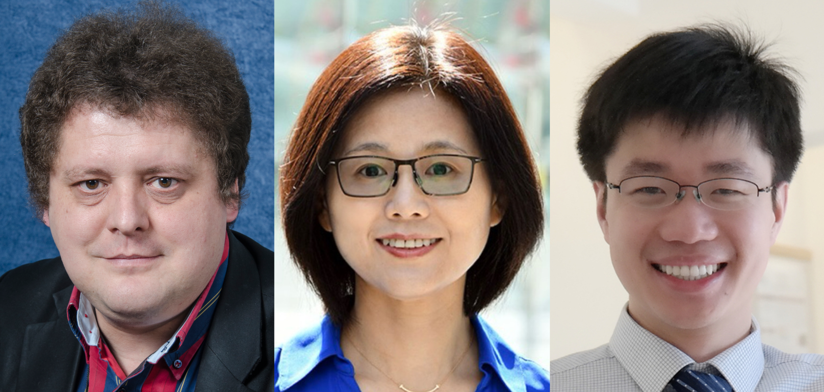 Igor Meglinski  / Meng Wang / Junjie Yao