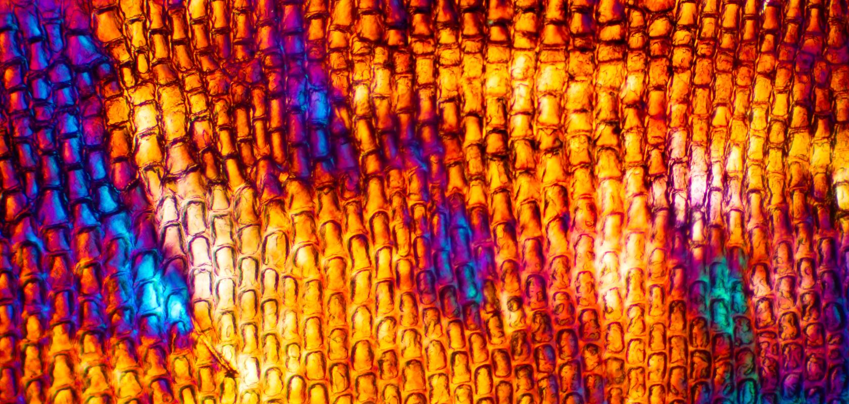 Early-stage collaboration ensures complex filter designs achieve the precise spectral separation required for real-world multispectral imaging in biological tissue