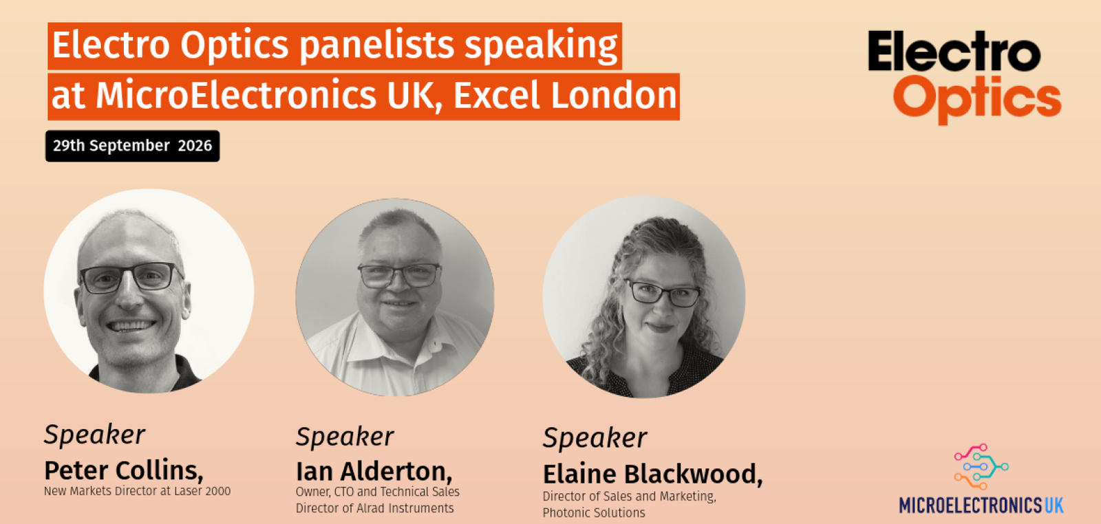 Microelectronics UK panel