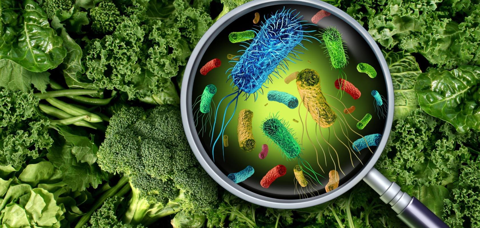 New chip sensor to analyse pesticides in food in minutes Electro Optics