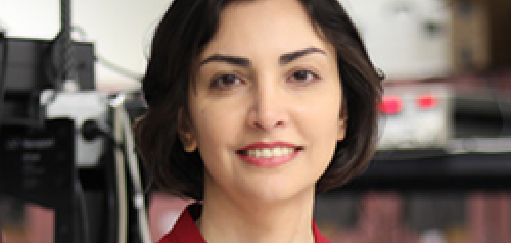 Mona Jarrahi, Professor of electrical and computer engineering, UCLA
