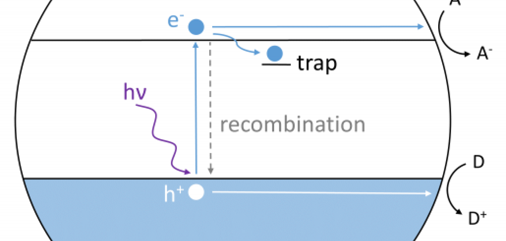 of Photocatalysis Reactions Studied by Transient Absorption