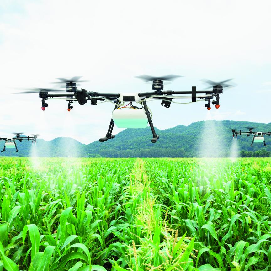 Drone spraying crops