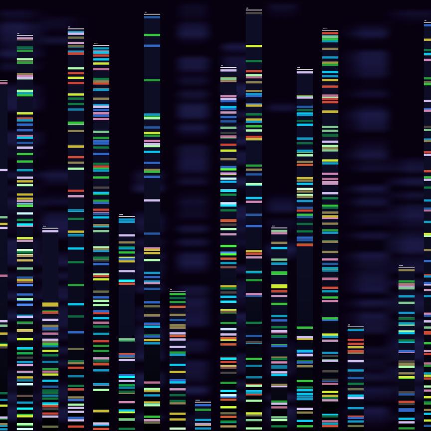 DNA sequence