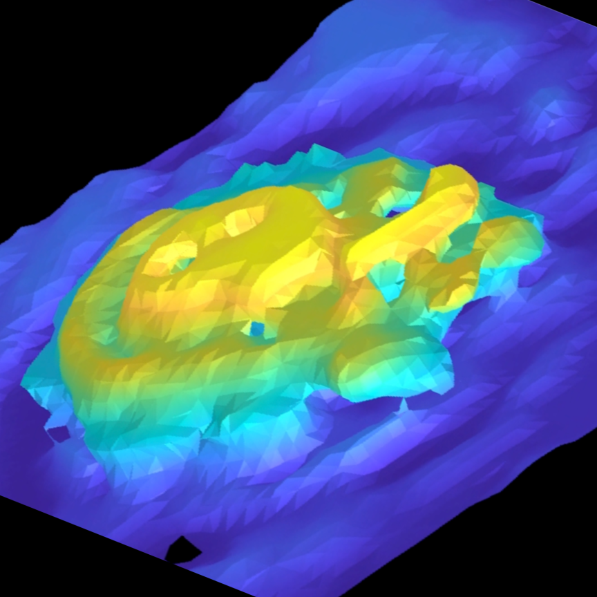 3D terahertz near-field imaging of the cochlear duct