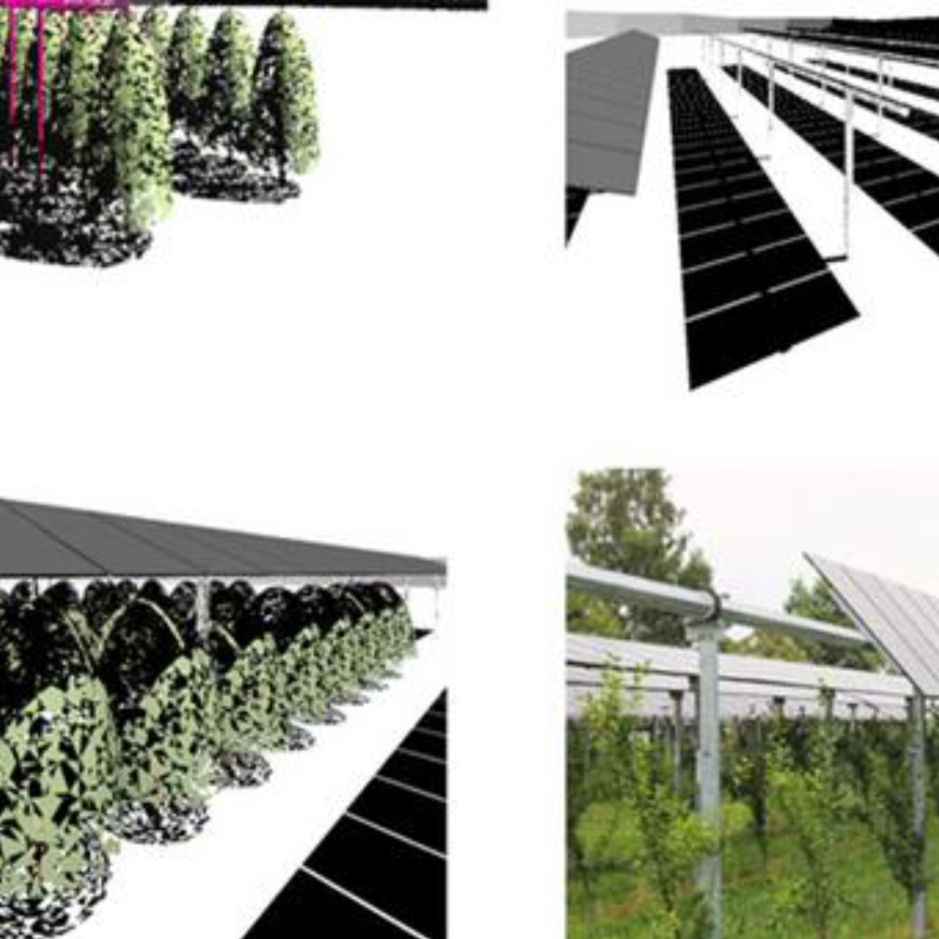 Agrivoltaics integrates solar power with agriculture