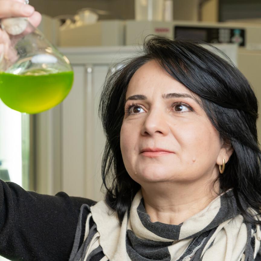Professor Yagut Allahverdiyeva-Rinne, Professor, Molecular Plant Biology 