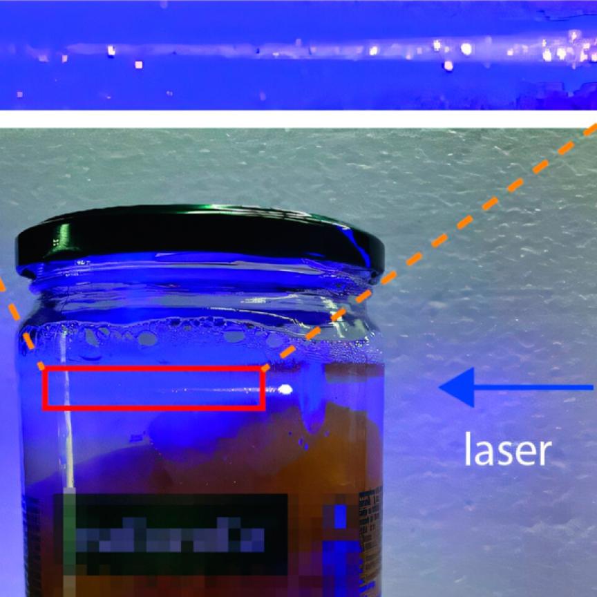 Edible microlasers embedded within peach compote