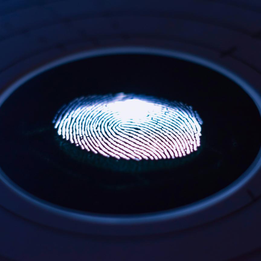 Fingerprint