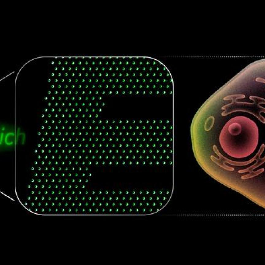 ETH Zurich logo made from 200nm pixels