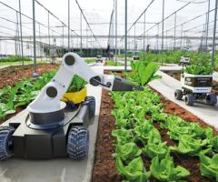 Spectroscopy in robotic harvesting