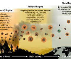 Sampling soot-based biomass particles