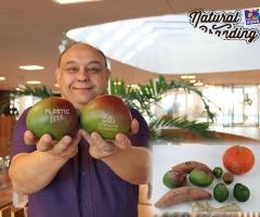 Man holding laser marked fruit