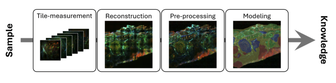 normal workflow of photonic data science