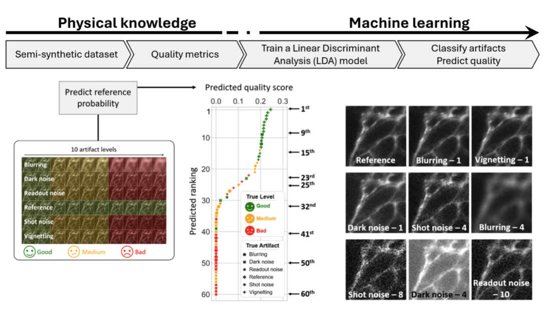 Multi-marker image quality assessment