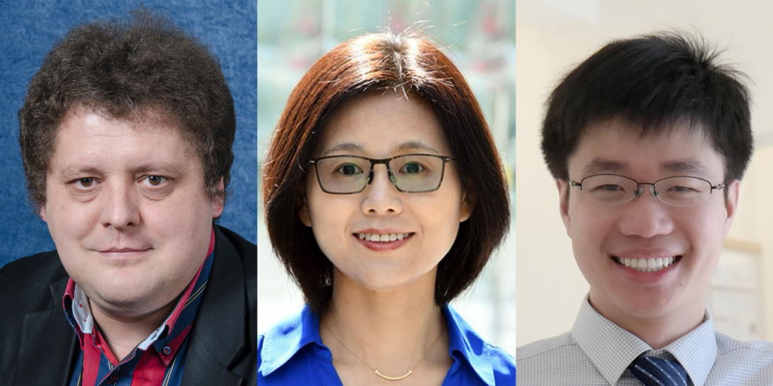 Igor Meglinski  / Meng Wang / Junjie Yao